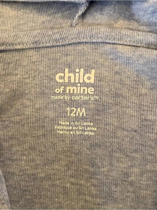 Carter's Gray Zip Jacket w/Stegosaurus Dinosaur Accents on Hood and Embroidered - Picture 4 of 4